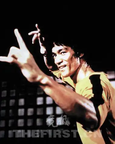 "240200">洪金宝 /a>, a target="_blank" href="/item/李小龙/32914"