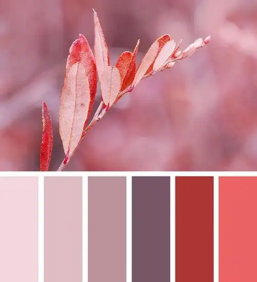 家  采集到色彩分析