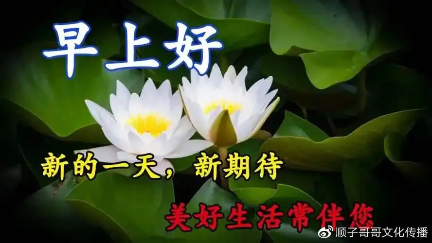 11月28日早安超漂亮表情祝福语图片