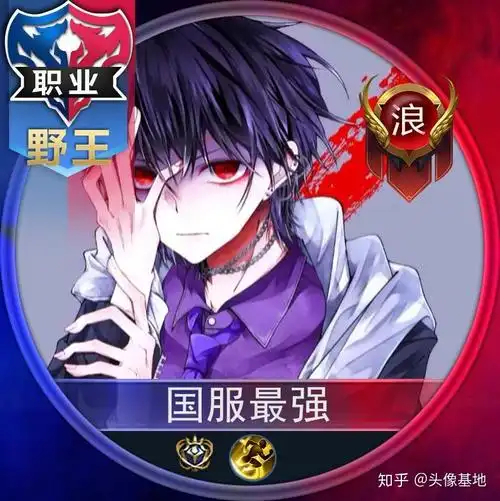 职业野王头像丨王者头像