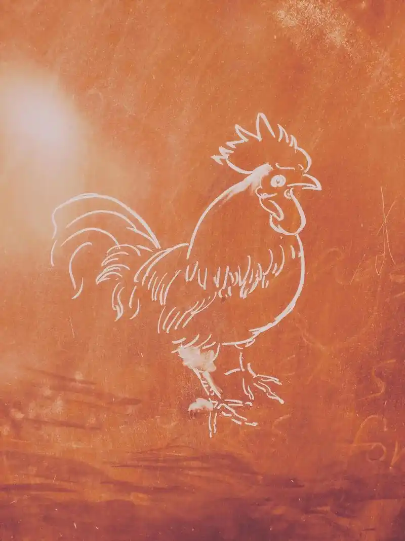 金鸡报晓#速写 #简笔画 #每日一画 - 抖音