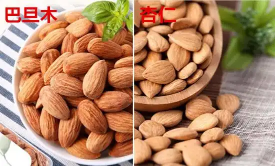 巴旦木和杏仁的区别是什么 巴旦木和杏仁哪个贵