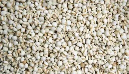 【中药名】薏苡仁 yiyiren【别名】苡仁,薏米,草珠儿,薏珠子,回回米.