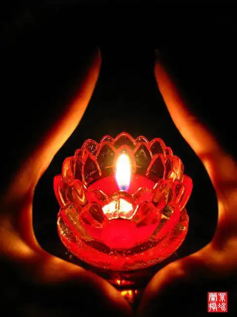 标题:如莲心灯