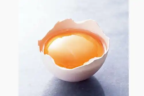 鸡子黄的功效与作用