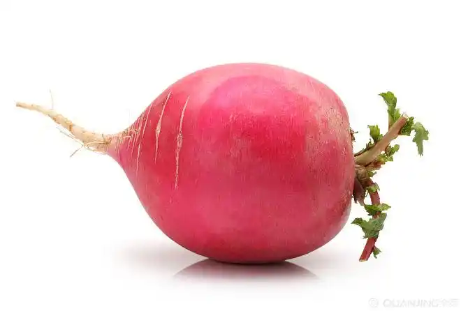 红萝卜图片_图片大全