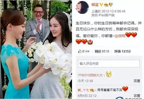 揭秘杨幂十二年辛酸这一夜风光不再原来并非真正老板