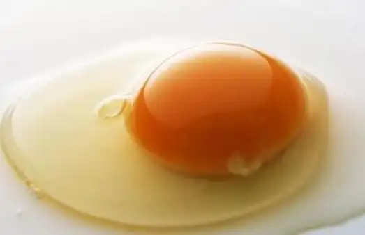 鸡子黄的功效与作用 鸡子黄怎么入药