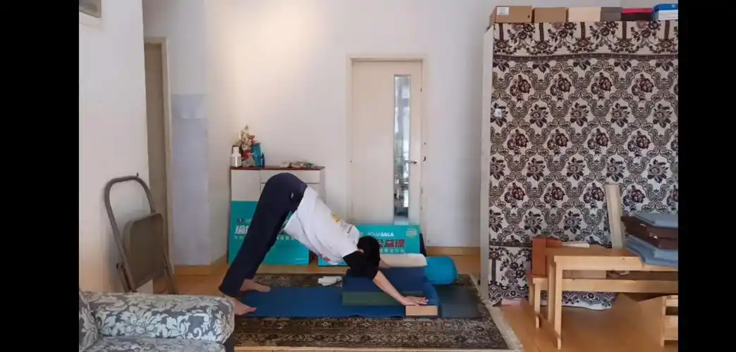 (第5部)艾扬格瑜伽免费公开课 (2020-19/22)