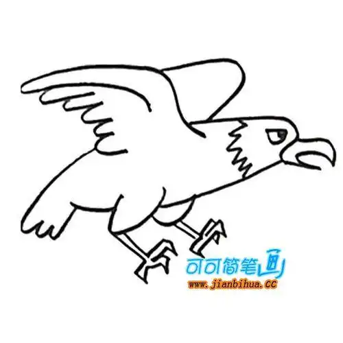 鸟类简笔画大全展翅飞翔的老鹰简笔画画法一组关于老鹰的简笔画图片