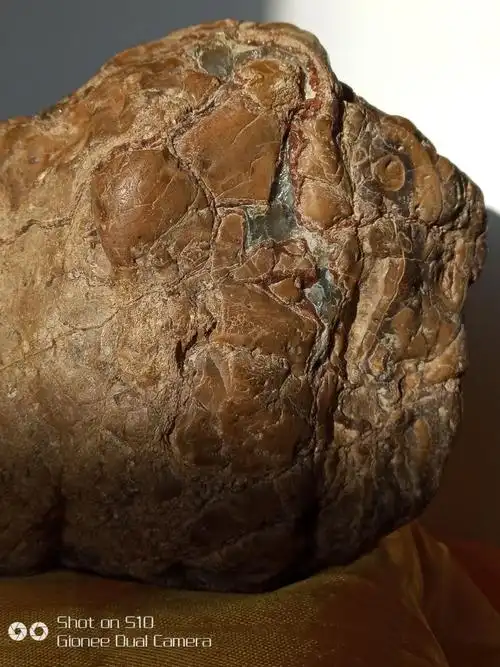 黑河橄榄石陨石