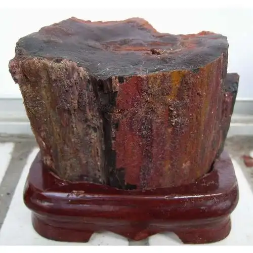 我国是世界上发现硅化木最早的国家,宋代沈括的《梦