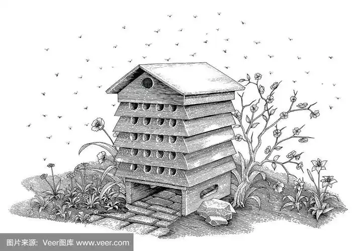 蜂巢手绘复古风格孤立在白色背景