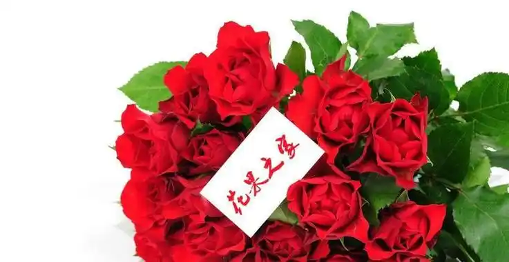 十九朵红玫瑰的深情告白(玫瑰花语传递爱意,十九朵红玫瑰意味着什么?