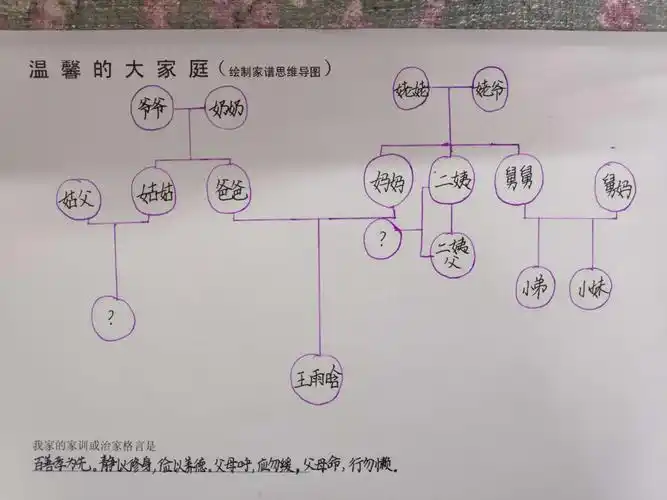 五年级语文寒假创新作业之过大年,画大年 我的家谱家训家规