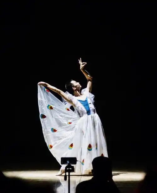 孔雀舞是哪个民族的舞蹈(孔雀舞蹈)_大全-幸福起航