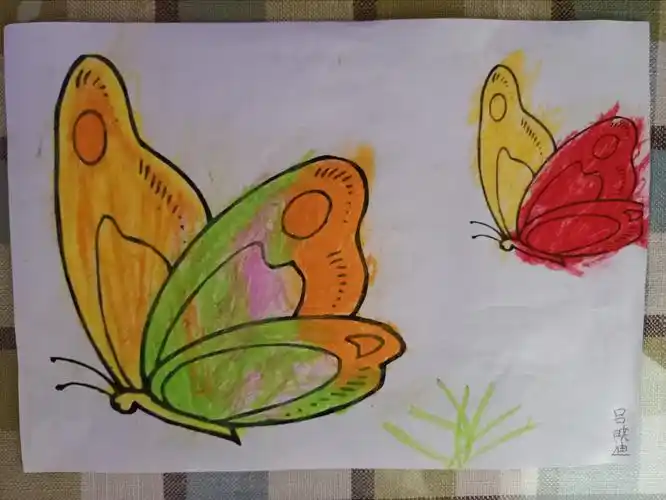 学会用自己认识的颜色给蝴蝶涂色 2.
