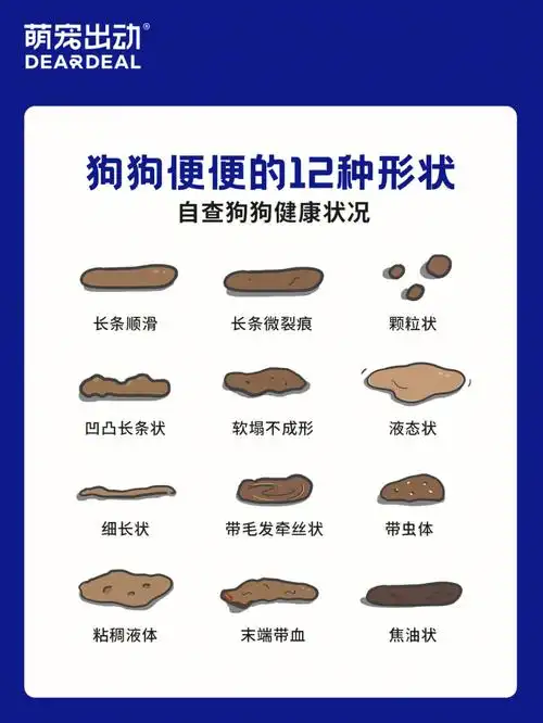 04拉肚子要狗命07看便便判断狗狗健康