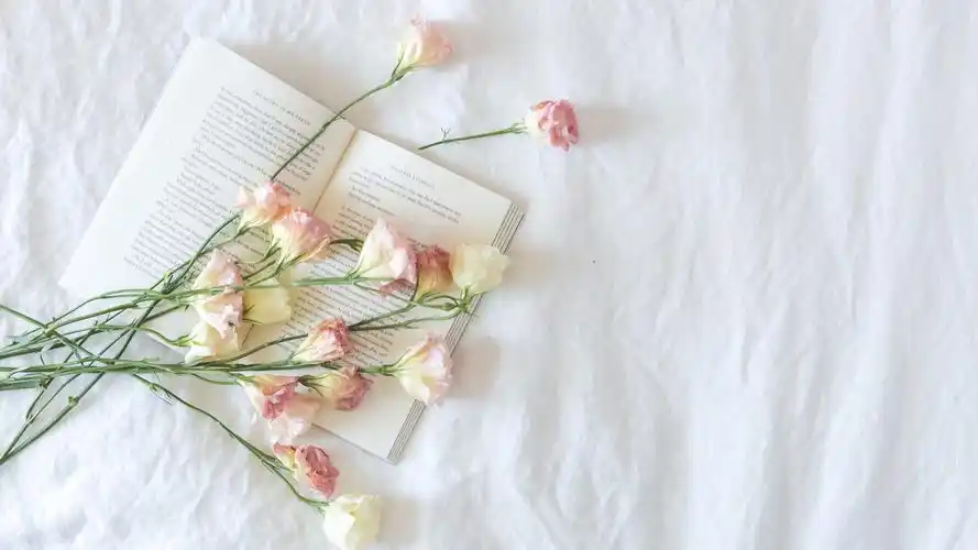 简约淡雅床花书的照片4k图片壁纸