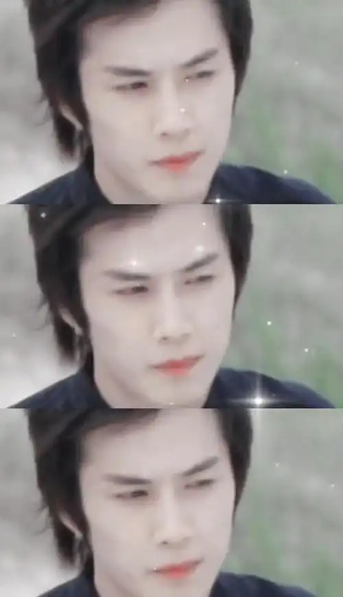 李承铉在年轻时期,以其俊朗的外貌和清新的气质,堪称一位典型的"韩国