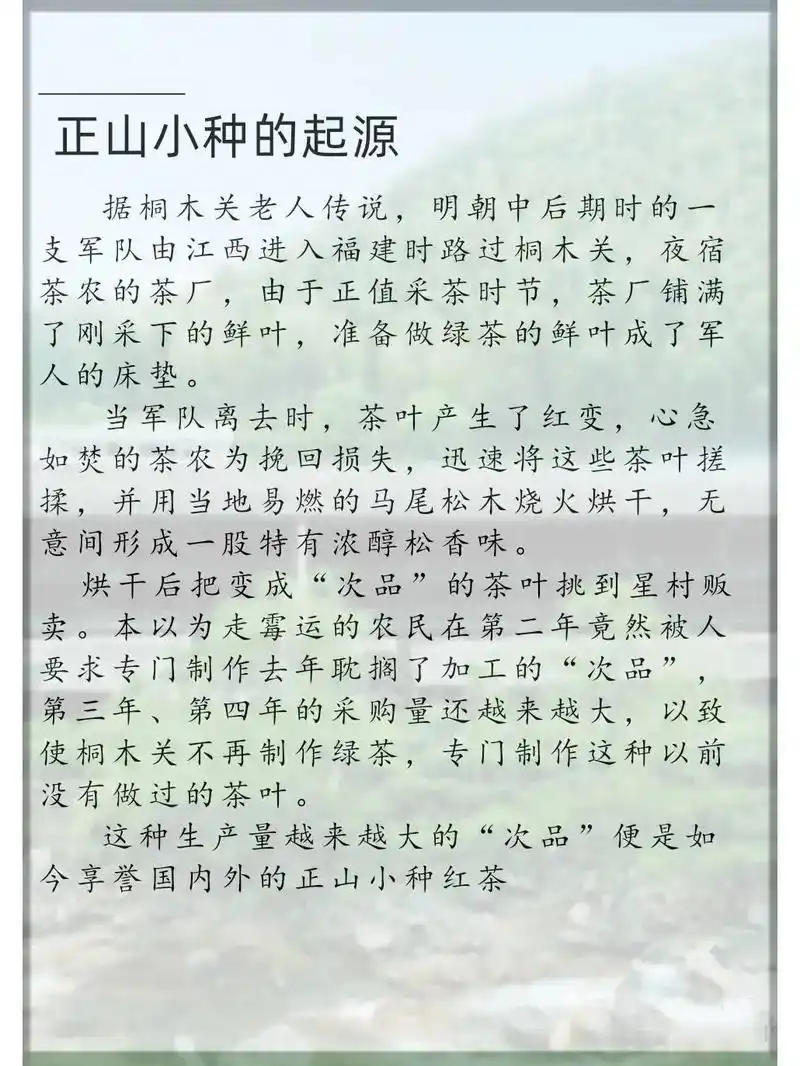 每天了解一款茶|红茶鼻祖,正山小种~每天了解一款茶|红茶鼻祖 - 抖音