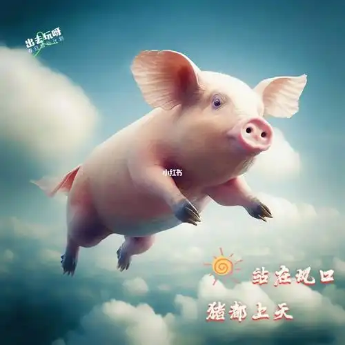 最帅飞天猪