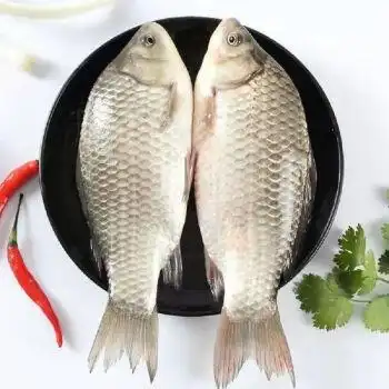 鲫鱼淡水活鱼现杀孕妇月子下奶滋补鱼汤杀后净重发货鲫鱼杀后净重3斤1