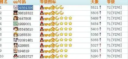 全球的qq等级最高的是谁?