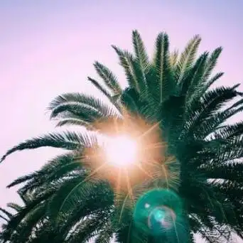 微信头像景象风景 风景头像意境最新版