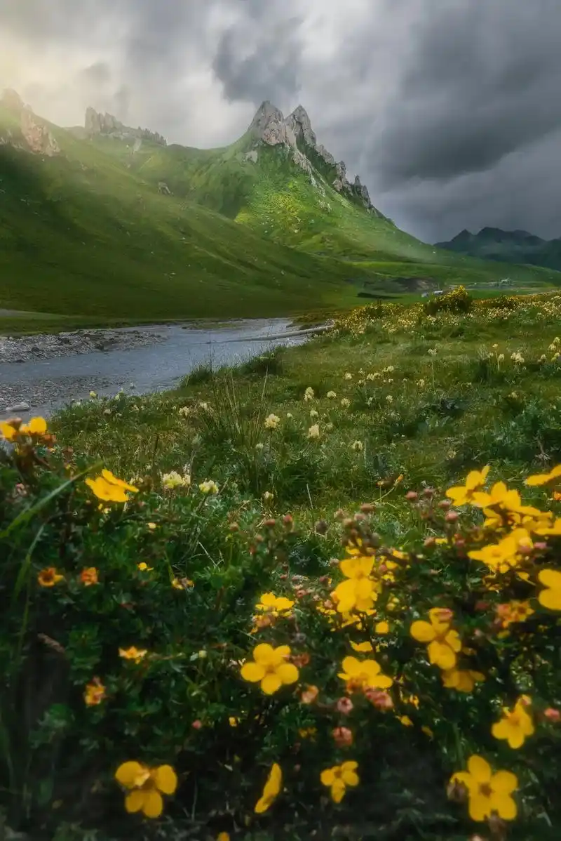 "遇见你 我的心上开成漫山遍野的花" #摄影  #带你看风景 - 抖音