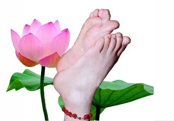 恋足 美足美脚与花[22p] - 自己的裸足 - 自己的裸足的博客