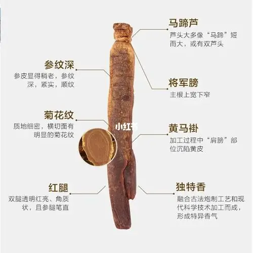 高丽参和红参的区别_高丽参_韩国_人参_铁盒_马褂_中海花湾壹号自由行