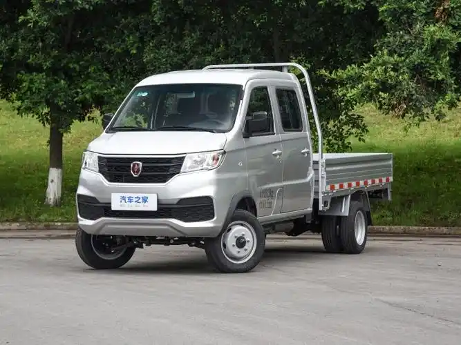 5l标准型载货汽车双排2.55米后双轮国vi swc15m