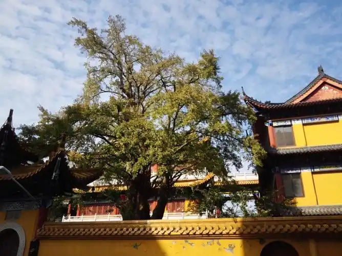 八怪黄慎的仙女庙寺僧缘(扬州江都)