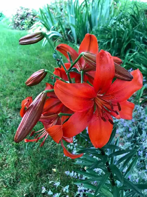 四季集 《春百花》