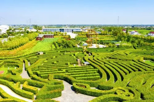 美丽江苏·每日一景丨盐城大丰梦幻迷宫:在树篱间追寻时光之美