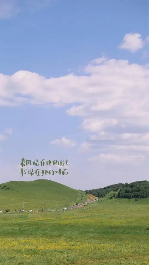 简约清新文字手机壁纸