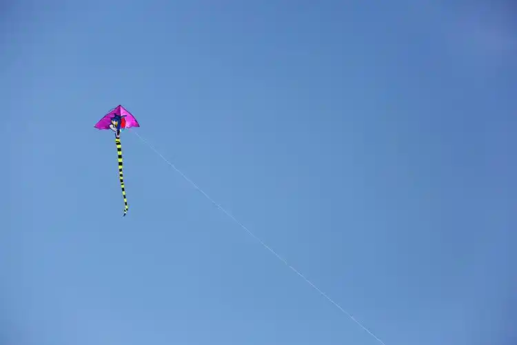 春天的空中飘着的风筝.