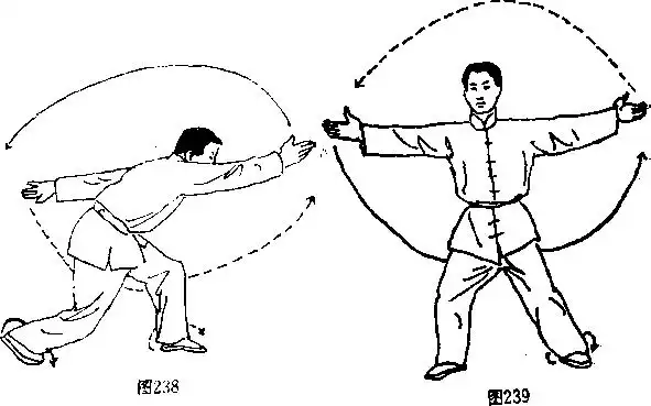 二十四乌龙盘打双托掌二龙吐须劈挂拳慢套动作图解教学