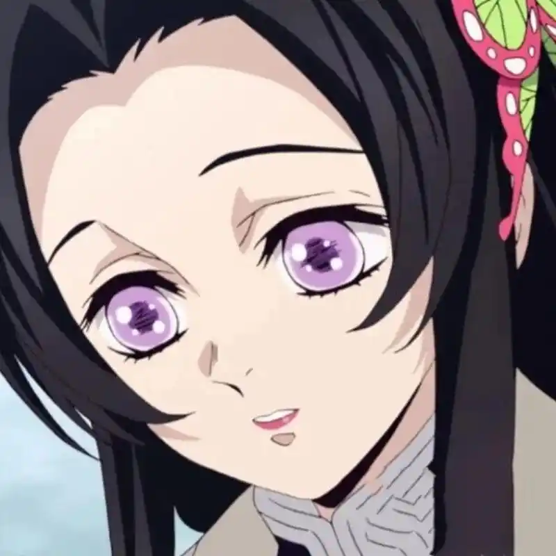 鬼灭之刃人物(9)——蝴蝶香奈惠