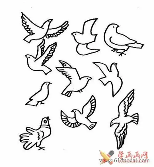 白云蓝天鸽子简笔画简单又美丽