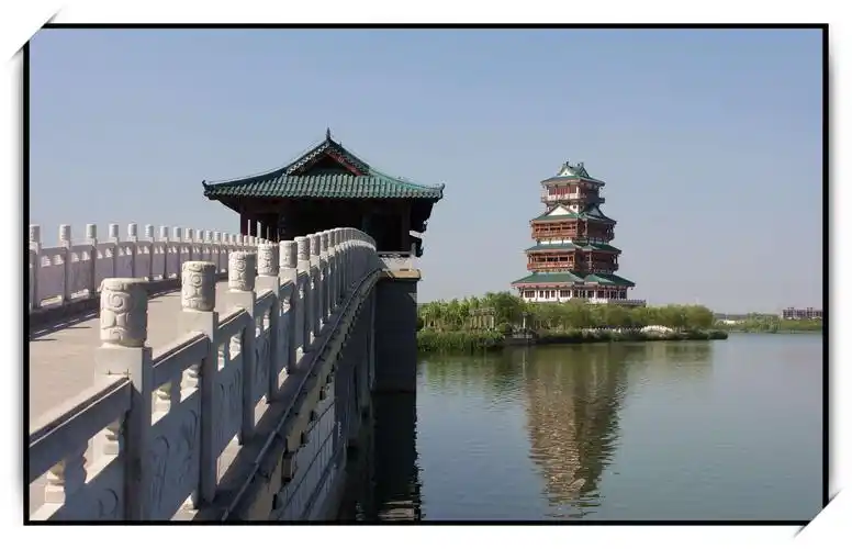 美丽成武--文亭湖鸟岛采风