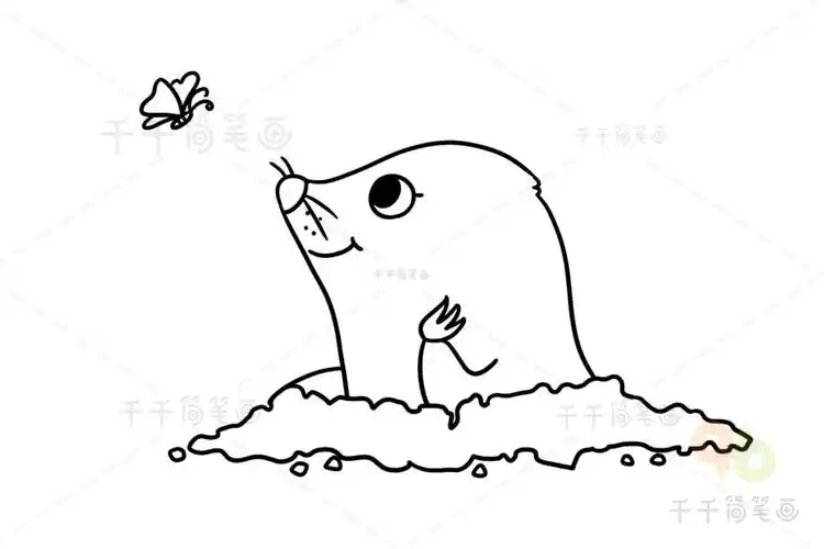 鼹鼠简笔画画法_陆地动物简笔画