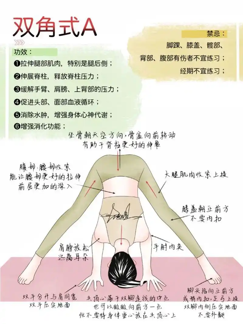 yoga|瑜伽体式详解|双角式a(附步骤图) 哈喽,我是大表姐 一个兼职瑜伽