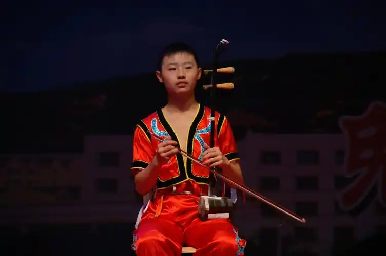 写美篇田兆宇         2002年8月入学二胡.