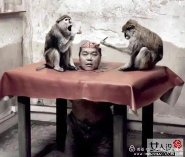 旅行 因果有报,猴子活吃人脑 写美篇等这些捕猴者,活吃猴脑者 死后