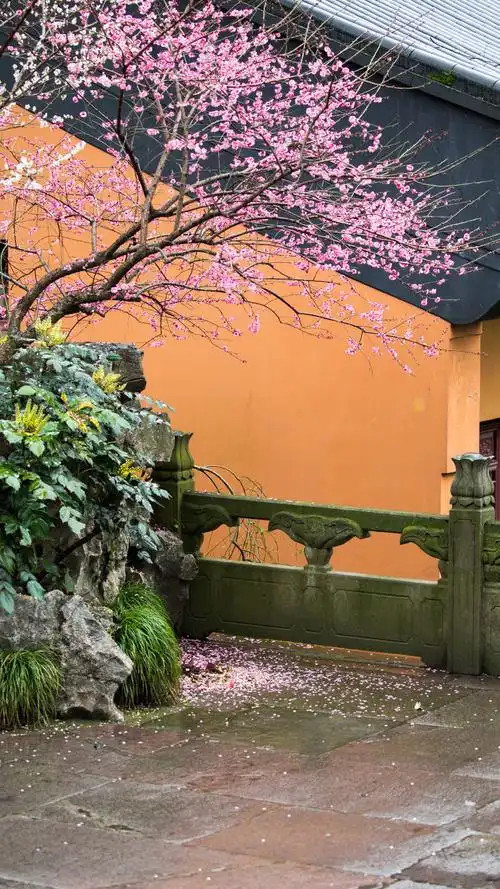 【深山古刹】一组小和尚拍摄的古寺 | 佛光注照,护国息灾