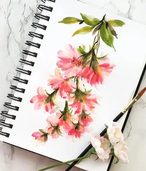 就能轻松驾驭唯美绚丽的水彩花卉简单唯美的水彩花卉