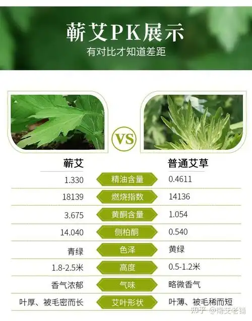 南阳艾和蕲春艾哪个更好