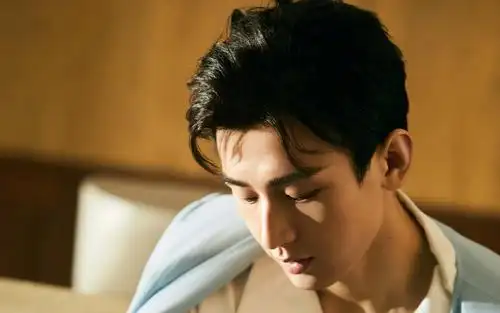 回车桌面>电脑壁纸>明星>大陆明星>成毅复古画报时尚帅气大片>相关